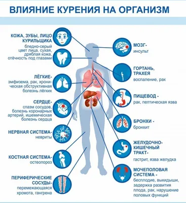 Blog | Что такое бронхит?