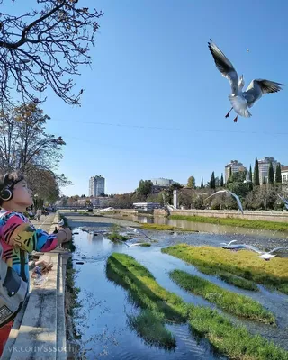 Доброе утро понедельника и удачной недели - 52 фото