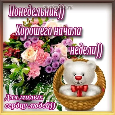 Доброе утро понедельника! Удачной недели!!!#спонедельником#доброеутроп... |  TikTok