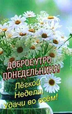 Доброе утро, понедельник. Легкой недели. | Доброе утро, Утро понедельника,  Открытки