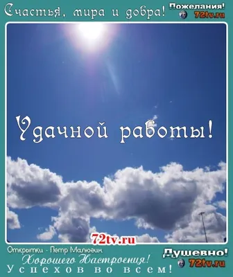 X 上的 Tamara Pavlova：「@veronikasmolkov Доброго утра и дня прекрасного  Вероника! Лёгкой работы и окончания рабочей недели! Обнимаю!  /7bP2clnEKP」 / X