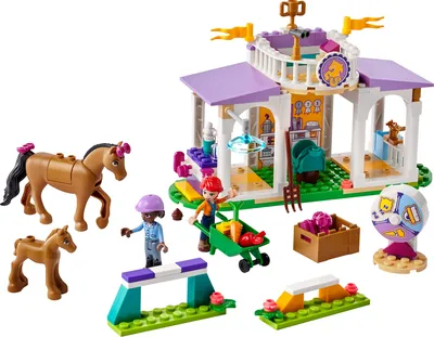 LEGO Friends Beach Amusement Park Building Toy - The Toy Box Hanover