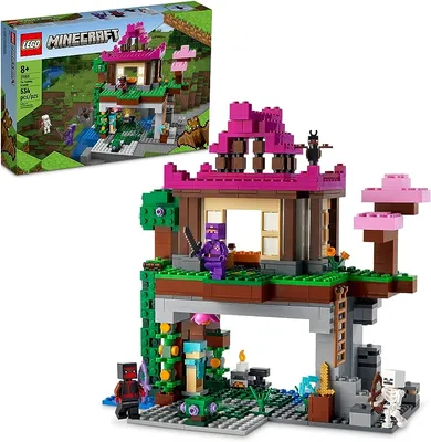 : LEGO Minecraft The Training Grounds Toy Building Set 21183  Minecraft Toy for Kids, Boys and Girls Age 8+ Years Old, Building Kit with  House, Cave, Trapdoor, and Ninja, Rogue and Bat