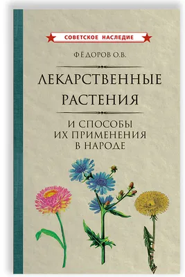 В борьбе с вирусной инфекцией помогут лекарственные растения - На пенсии