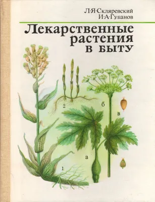 Дикорастущие лекарственные растения Урала, Коллектив авторов – скачать  книгу fb2, epub, pdf на ЛитРес