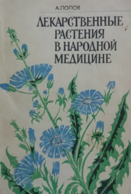 Экологический проект «Лекарственные растения» (1 фото). Воспитателям  детских садов, школьным учителям и педагогам - Маам.ру