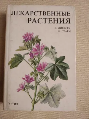 Лекарственные растения леса