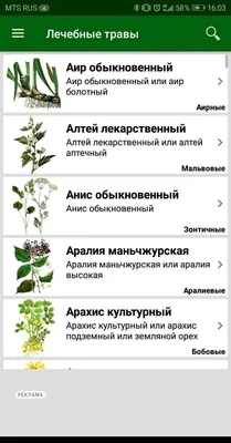Приложения для определения лекарственных трав по фотографии, описанию.  Правила сбора, рецепты, настои, целебные сборы