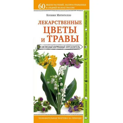 Лекарственные цветы и травы. Наглядный карманный определитель. в Алматы -  цены, купить в интернет - магазине Sulpak | отзывы, описание