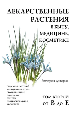 Декоративные травы для сада: названия, описания и фото | Интернет-магазин  садовых растений