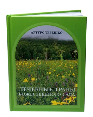 Сурепка обыкновенная — Википедия