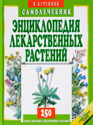 Биолог КФУ рассказала, как правильно собирать лекарственные травы | Медиа  портал - Казанский (Приволжский) Федеральный Университет