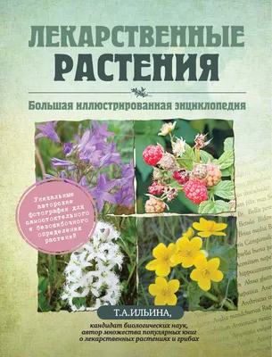 Книга Травник: самый полный справочник лекарственных растений - купить дома  и досуга в интернет-магазинах, цены на Мегамаркет | 13750