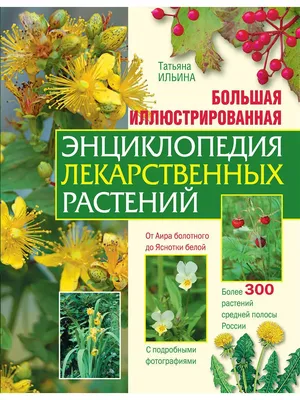 8 лекарственных растений в вашем саду, которые стоит засушить (и сэкономить  на аптечке) | Растения, Лекарственные растения, Сад