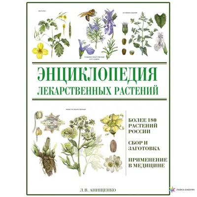 День лекарственных растений / События / Садик / МДОУ "Детский сад № 1  "Сказка"