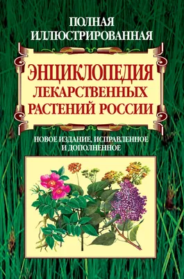 Книга Травник Описание 300 лекарственных растений и способы их применения  от 100 самых распространенных заболеваний - купить, читать онлайн отзывы и  рецензии | ISBN 978-5-699-80487-0 | Эксмо