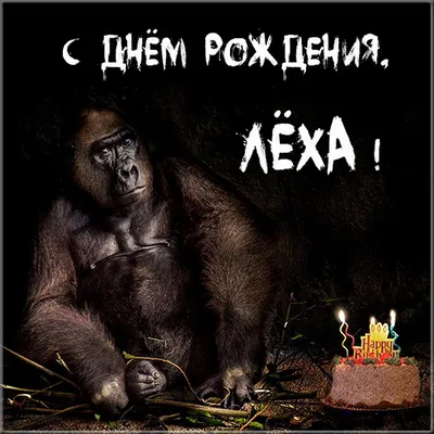 Открытки и прикольные картинки с днем рождения для Алексея и Леши