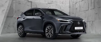 Новинка 2023 года - детальный обзор на новый Lexus RX - ЧТО ОБЩЕГО У ЛЕКСУСА  С ТОЙОТОЙ? МНЕ НИКТО НЕ ОБЪЯСНИЛ | АВТОЖУРНАЛ | Дзен