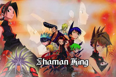 Картина на холсте для интерьера на стену - Аниме Шаман кинг, Shaman King,  Рен (Лен) Тао, духи, ретро, боец, турнир шаманов, Токио (301) 20х30 -  купить по низкой цене в интернет-магазине OZON (709454087)