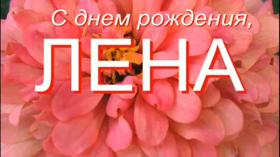 Лена, Леночка, Елена, ты прекрасна несомненно. С днем рождения тебя  поздравляю я любя! | С днем рождения, Рождение, Открытки