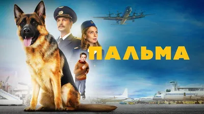 Фильм "Пальма" продолжает получать награды 🐕 Картину отметили Гран-при и  призом "Лучший мальчик-актер" (Леонид Басов) на XXIX… | Instagram