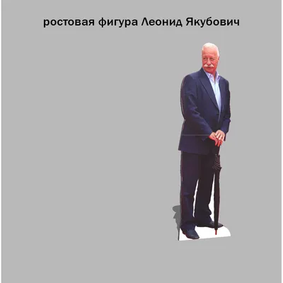 Якубович предложил платить министру труда зарплату в размере своей пенсии —  РБК