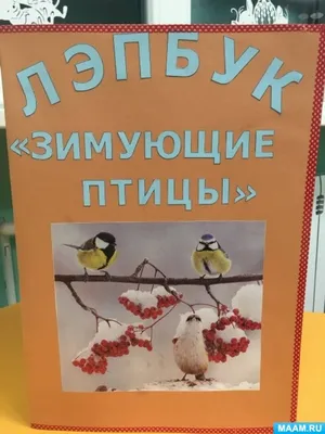 Лэпбук «Зимующие птицы» (5 фото). Публикация 1289829. Воспитателям детских  садов, школьным учителям и педагогам - Маам.ру