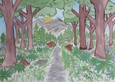 Детский рисунок деревья в лесу - 67 фото