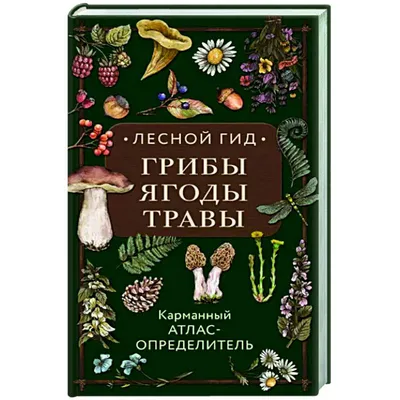 Книга "Русский лес. Грибы и ягоды" - купить подарочное издание