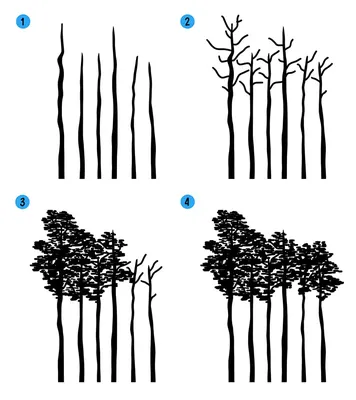 Как нарисовать (рисовать) лес с деревьями » Рисуем легко и поэтапно -  мастер-классы по рисованию леса и рисунки для срисовки для детей и  начинающих карандашом и красками