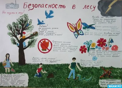 Эксперт рассказала, как сделать прогулку по лесу с детьми безопасной –  Москва 24, 