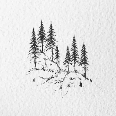 Рисунок карандашом: "В лесу" | Pencil drawing: "In the forest" - YouTube