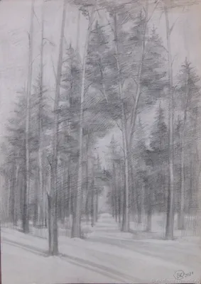 Рисунок карандашом: "В лесу" | Pencil drawing: "In the forest" - YouTube