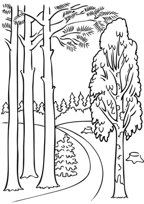Сказочный лес рисунок карандашом - 68 фото