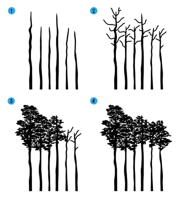 Лес Для Срисовки (49 Фото)