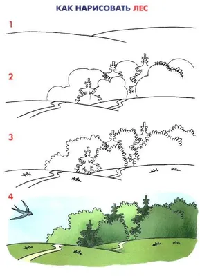 Как нарисовать лес? | Рисовать, Лес, Живопись