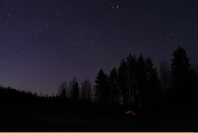 Зимний лес ночью, загадочные огни, …» — создано в Шедевруме