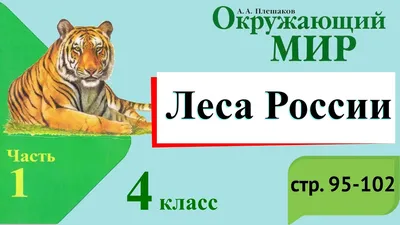 В соцсетях начался марафон "Открой для себя леса России" - Агентство  социальной информации