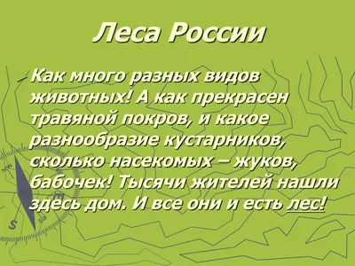  года в преддверии Международного Дня лесов в творческом  объединении «Шаг вперед» с ребятами была проведена беседа «Леса России».  День леса — ежегодный праздник, посвященный теме сохранения лесов. Ребята  вспомнили