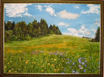 Цветочная поляна в лесу рисунок - 69 фото