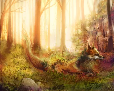 Полянка лисичек в лесу - 67 фото