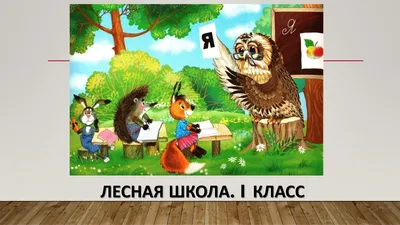 Лесная школа. Грач — отличный врач - купить книгу с доставкой в  интернет-магазине «Читай-город». ISBN: 978-5-43-150888-2