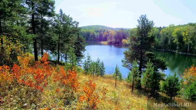 Лесное (озеро, Калининград) — Википедия