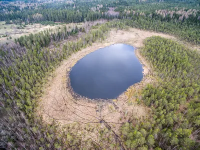 Нашли «тайное» лесное озеро возле Уручья