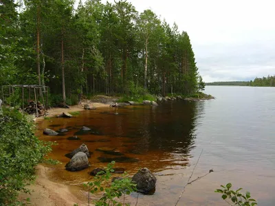 Лесное озеро - Звуки Сергиева Посада. Field recordings from Russia