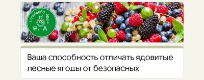 Топ-5 ядовитых ягод России – будьте внимательны!-Управление  Роспотребнадзора по Кировской области