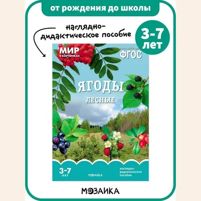 Книга - наглядно-дидактическое пособие для детей. Занятия для дошкольников.  ОТ РОЖДЕНИЯ ДО ШКОЛЫ. Ягоды лесные. Мир в картинках. Наглядно-дидактическое  пособие 3-7 лет ФГОС | Минишева Т. - купить с доставкой по выгодным