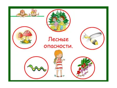 Лесные опасности - презентация онлайн