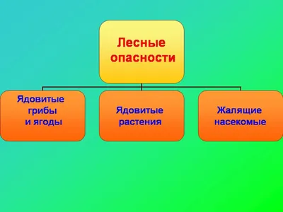 Презентация на тему: "Окружающий мир 2 класс (УМК «Школа России) Лесные  опасности Окружающий мир 2 класс (УМК «Школа России) Лесные опасности  Подготовила Лепихова Мария ученица.". Скачать бесплатно и без регистрации.