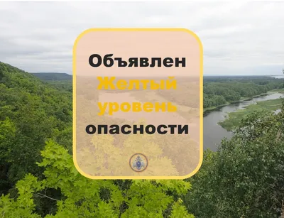 Берегите лес от огня! | «Официальный сайт Администрации муниципального  района Похвистневский Самарской области»